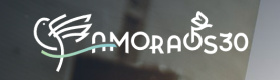 Amoraos30 Logo